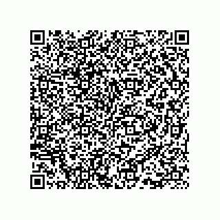 vCard 73815733293