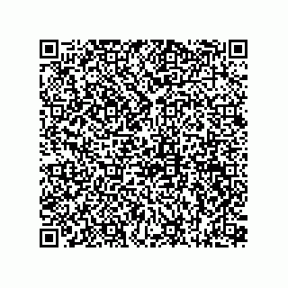 vCard 73815733294