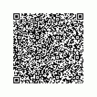 vCard 73815733295