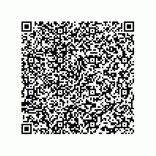 vCard 73815733298