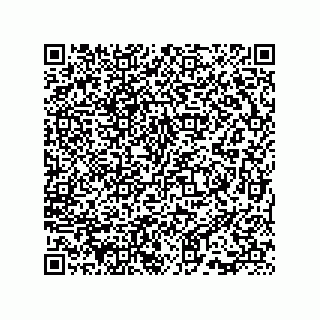 vCard 73815733301