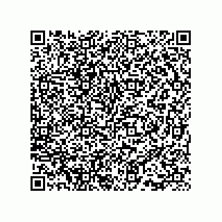 vCard 73815733303