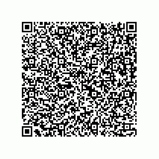 vCard 73815733304