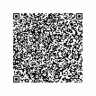 vCard 73815733307