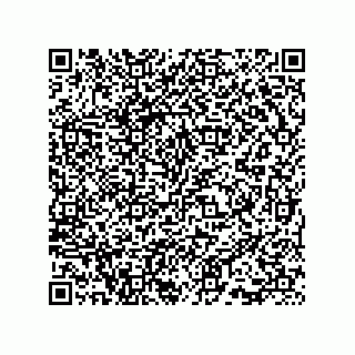 vCard 73815733308