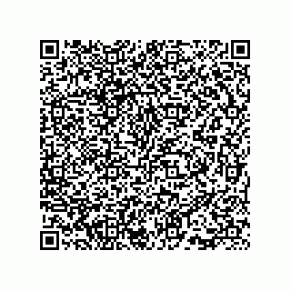 vCard 73815733309