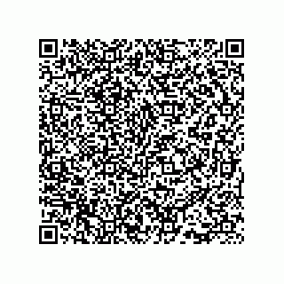 vCard 73815733312