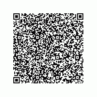 vCard 73815733319