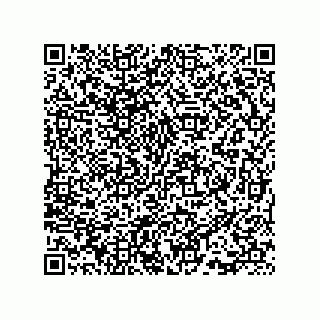 vCard 73815733320