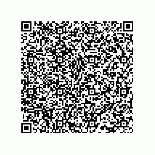 vCard 73815733322
