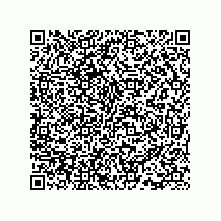 vCard 73815733324
