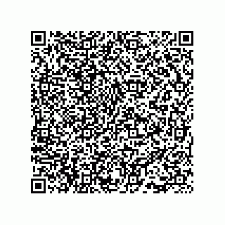 vCard 73815733330
