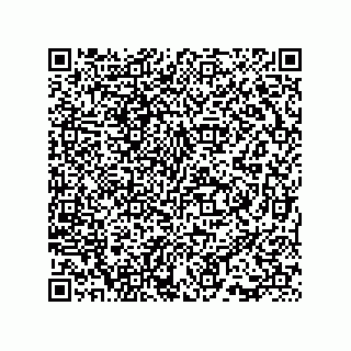 vCard 73815733333