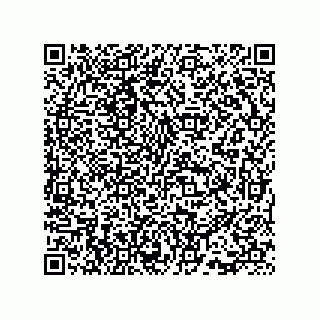 vCard 73815733334