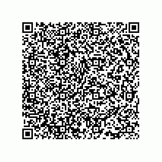 vCard 73815733335