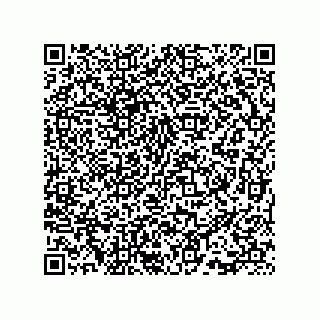 vCard 73815733341