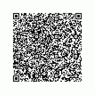 vCard 73815733343