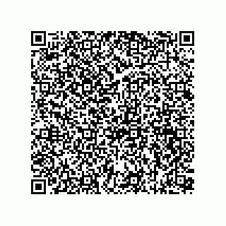 vCard 73815733355