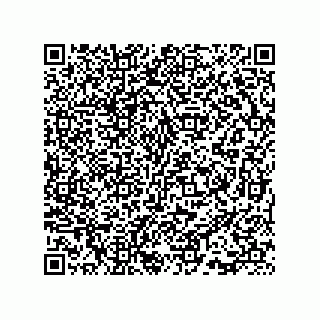 vCard 73815733357