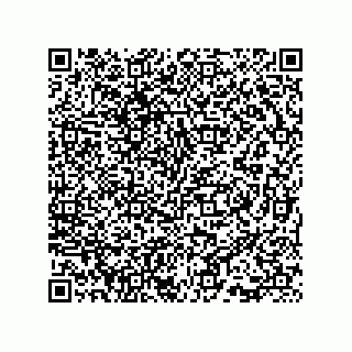 vCard 73815733363