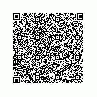 vCard 73815733370
