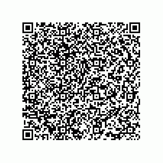 vCard 73815733371