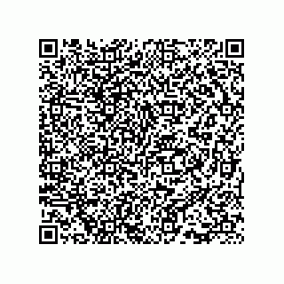 vCard 73815733373