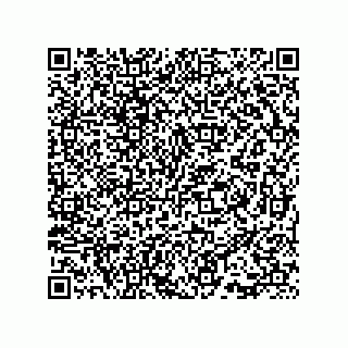 vCard 73815733377