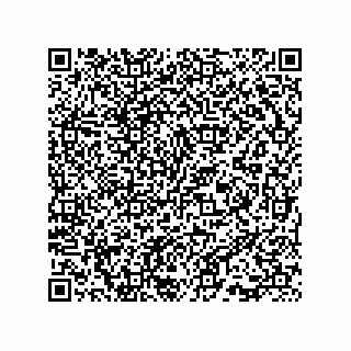 vCard 73815733378