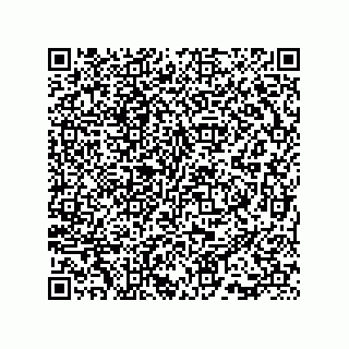 vCard 73815733381