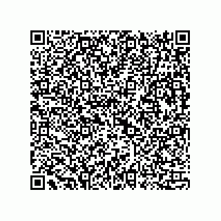 vCard 73815733382
