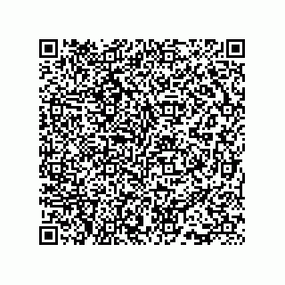 vCard 73815733383