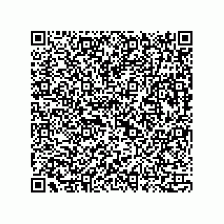 vCard 73815733384