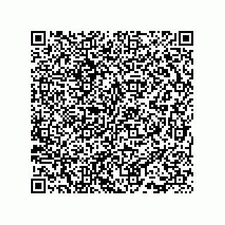 vCard 73815733385