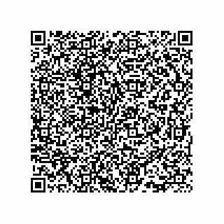 vCard 73815733386