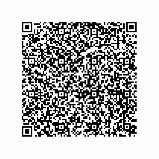 vCard 73815733389