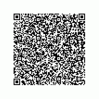 vCard 73815733392