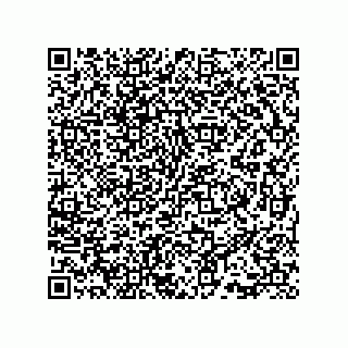 vCard 73815735281