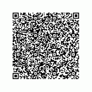 vCard 73815735333