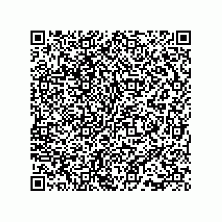 vCard 73815738100