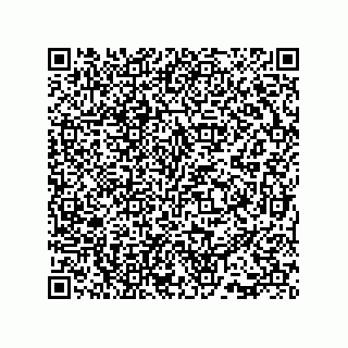vCard 73815738117