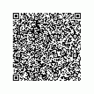 vCard 73815738131