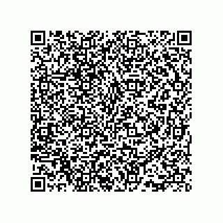 vCard 73815738132