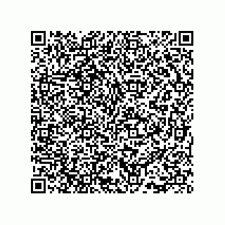 vCard 73815738133
