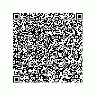 vCard 73815738171