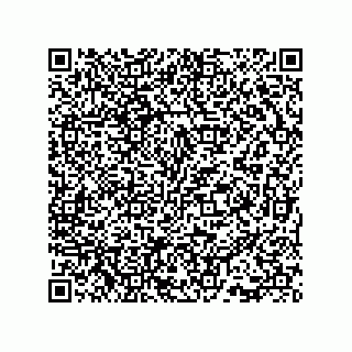 vCard 73815738177