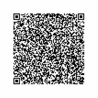 vCard 73815738199