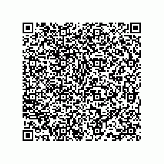 vCard 73815738219