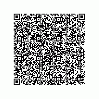 vCard 73815821011