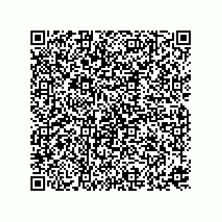 vCard 73815821106